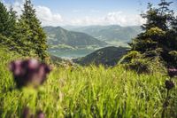 das-alpenhaus-kaprun-sommerurlaub-c-tvb-zell-am-see-kaprun-4-scaled-scaled